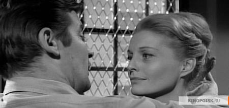 Шоковий коридор